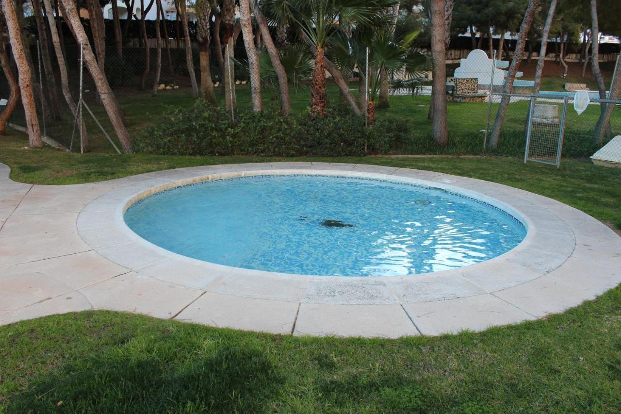 New Apartment With Sea View Of Andrew And Natallia Campoamor Exteriör bild